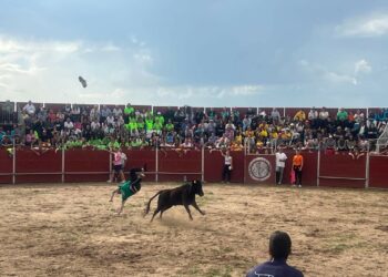 La afición de Doñinos llena la plaza de toros para divertirse con el gran prix de peñas y las vaquillas