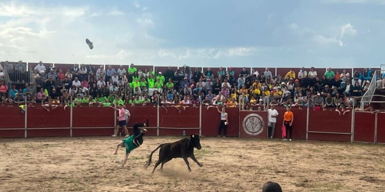 La afición de Doñinos llena la plaza de toros para divertirse con el gran prix de peñas y las vaquillas