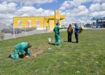 Inversión de 4.485 euros para cuidar la zona verde y de ocio infantil de la Avenida de los Padres Paúles