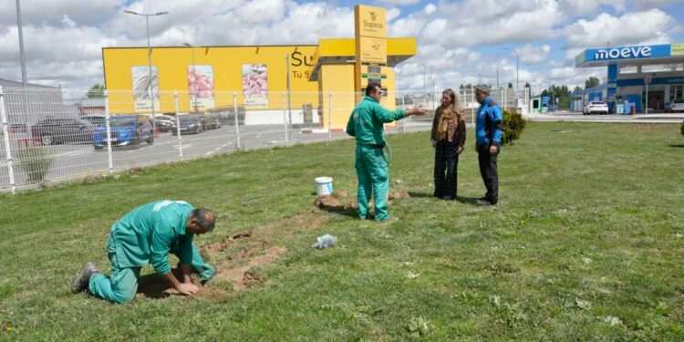 Inversión de 4.485 euros para cuidar la zona verde y de ocio infantil de la Avenida de los Padres Paúles
