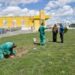Inversión de 4.485 euros para cuidar la zona verde y de ocio infantil de la Avenida de los Padres Paúles