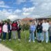 Los Quintos de 2008 de Castellanos plantan el ‘mayo’ y mantienen viva la tradición que celebra su mayoría de edad