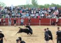 Más de 2.200 personas abarrotan la plaza de toros para disfrutar de la capea en la última tarde festiva