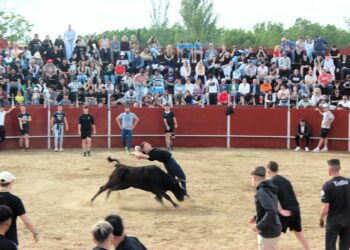 Más de 2.200 personas abarrotan la plaza de toros para disfrutar de la capea en la última tarde festiva