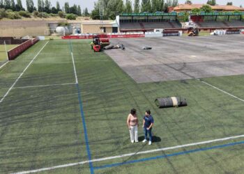 Comienzan las obras para la sustitución del césped del estadio Alfonso San Casto