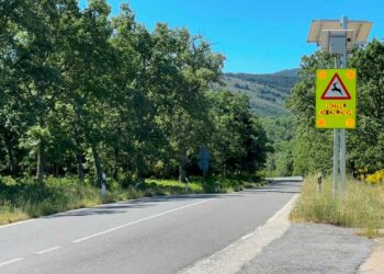 Tecnología experimental para evitar los accidentes de tráfico provocados por animales salvajes