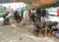 El Día de las Fuerzas Armadas llega a Santa Marta