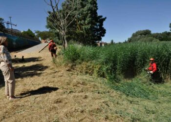 El Plan Cauces permite la limpieza, desbroce y retirada de vegetación en la margen del Tormes