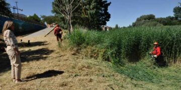 El Plan Cauces permite la limpieza, desbroce y retirada de vegetación en la margen del Tormes