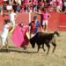 Lleno en la plaza portátil de Aldeatejada para disfrutar del Gran Prix y la capea popular