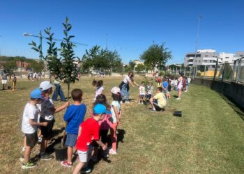 Los escolares de Carbajosa plantan el futuro en la zona verde del pabellón