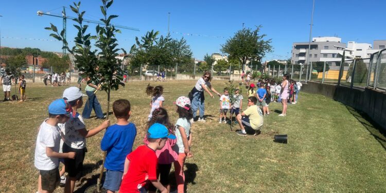 Los escolares de Carbajosa plantan el futuro en la zona verde del pabellón