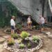 Los mayores de Santa Marta decoran con flores y plantas el patio interior del Edificio Sociocultural