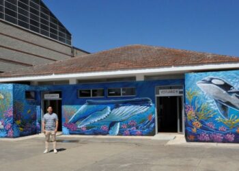 Dos nuevos murales de temática marina en la taquilla y los vestuarios estrenan el verano en las piscinas municipales de Santa Marta