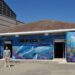 Dos nuevos murales de temática marina en la taquilla y los vestuarios estrenan el verano en las piscinas municipales de Santa Marta