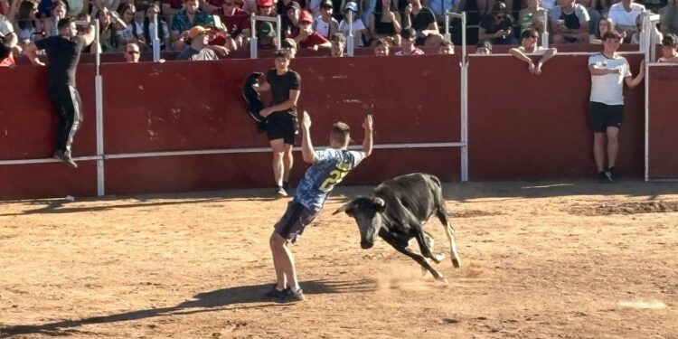 Animada tarde de vaquillas para despedir las fiestas de Villares