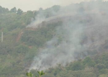 Los vecinos de Mámoles y Pinilla de Fermoselle regresan a sus casas tras mejorar la evolución del incendio