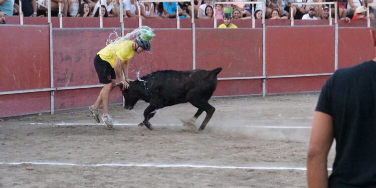 El Gran Prix de las peñas vuelve a desatar la diversión ante cerca de 800 espectadores en Santa Marta