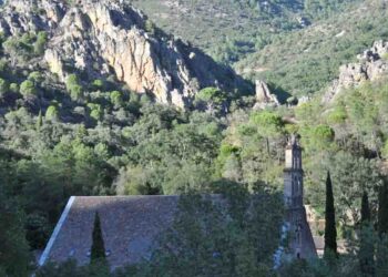 Los montes de Salamanca ganan protección frente a plagas y enfermedades con un nuevo programa hasta 2029