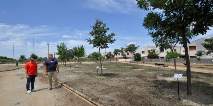 Doñinos amplía en 7.000 m2 sus zonas verdes con el acondicionamiento del parque ‘El Cervero’