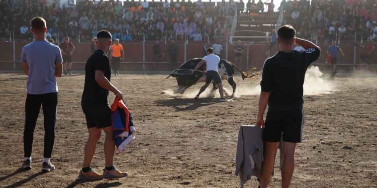 Santa Marta celebra un multitudinario y solidario espectáculo ‘El Torito’ ante más de 2.500 personas