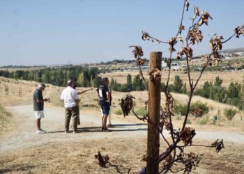 El PSOE pide más mantenimiento y equipamientos para el barrio salmantino de El Zurguén