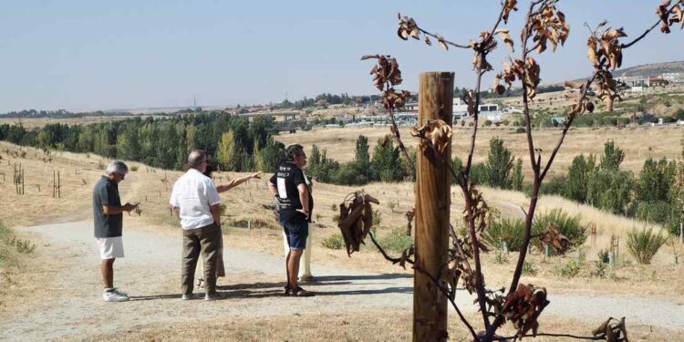El PSOE pide más mantenimiento y equipamientos para el barrio salmantino de El Zurguén