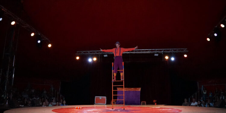 Volatiritormes vuelve a llenar su gran carpa con una noche de equilibrios y malabares