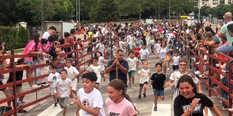 Divertido encierro de mini bueyes en Carbajosa
