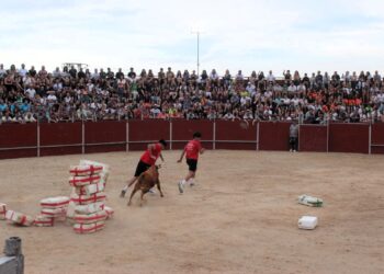 Los jóvenes demuestran su habilidad y destreza en las pruebas del ‘Carbajosa Prix’ y las vaquillas