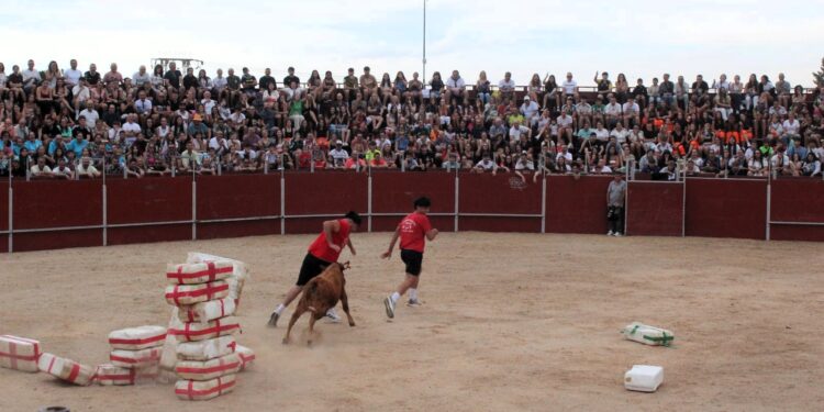 Los jóvenes demuestran su habilidad y destreza en las pruebas del ‘Carbajosa Prix’ y las vaquillas