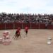 Los jóvenes demuestran su habilidad y destreza en las pruebas del ‘Carbajosa Prix’ y las vaquillas