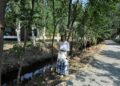 Santa Marta desbroza y retira la maleza del cauce del arroyo de los Requesenes