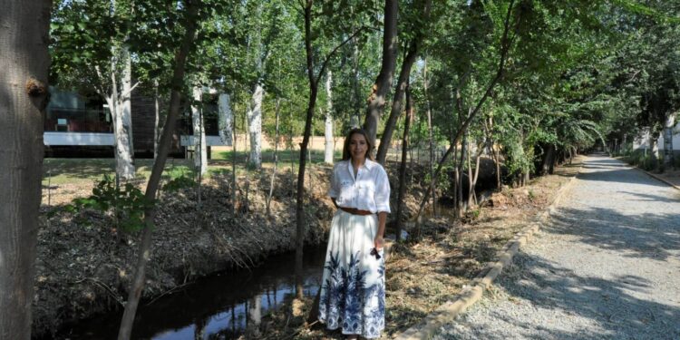 Santa Marta desbroza y retira la maleza del cauce del arroyo de los Requesenes