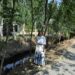 Santa Marta desbroza y retira la maleza del cauce del arroyo de los Requesenes